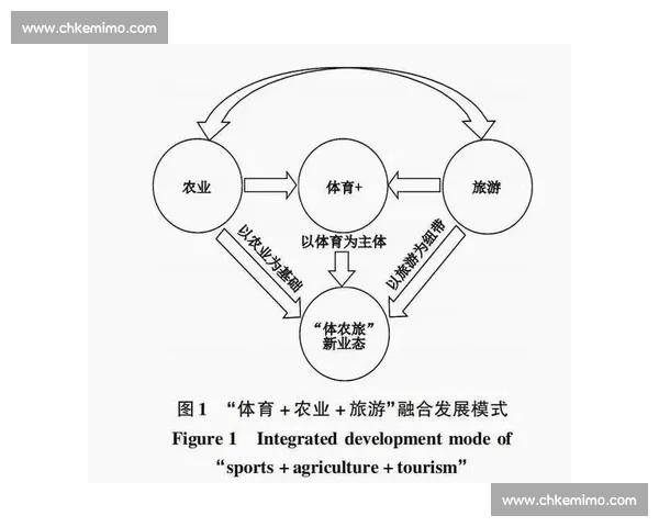 构建以体育教育体系为核心推动青少年全面发展与健康中国融合路径研究