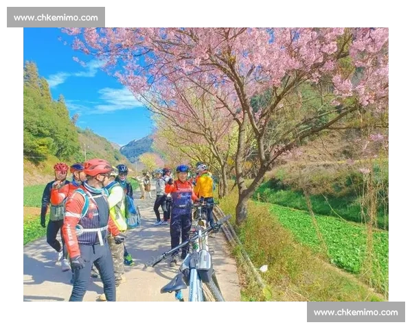 穿越林海与峡谷感受山地骑行速度激情和自然探索之旅的自由梦想